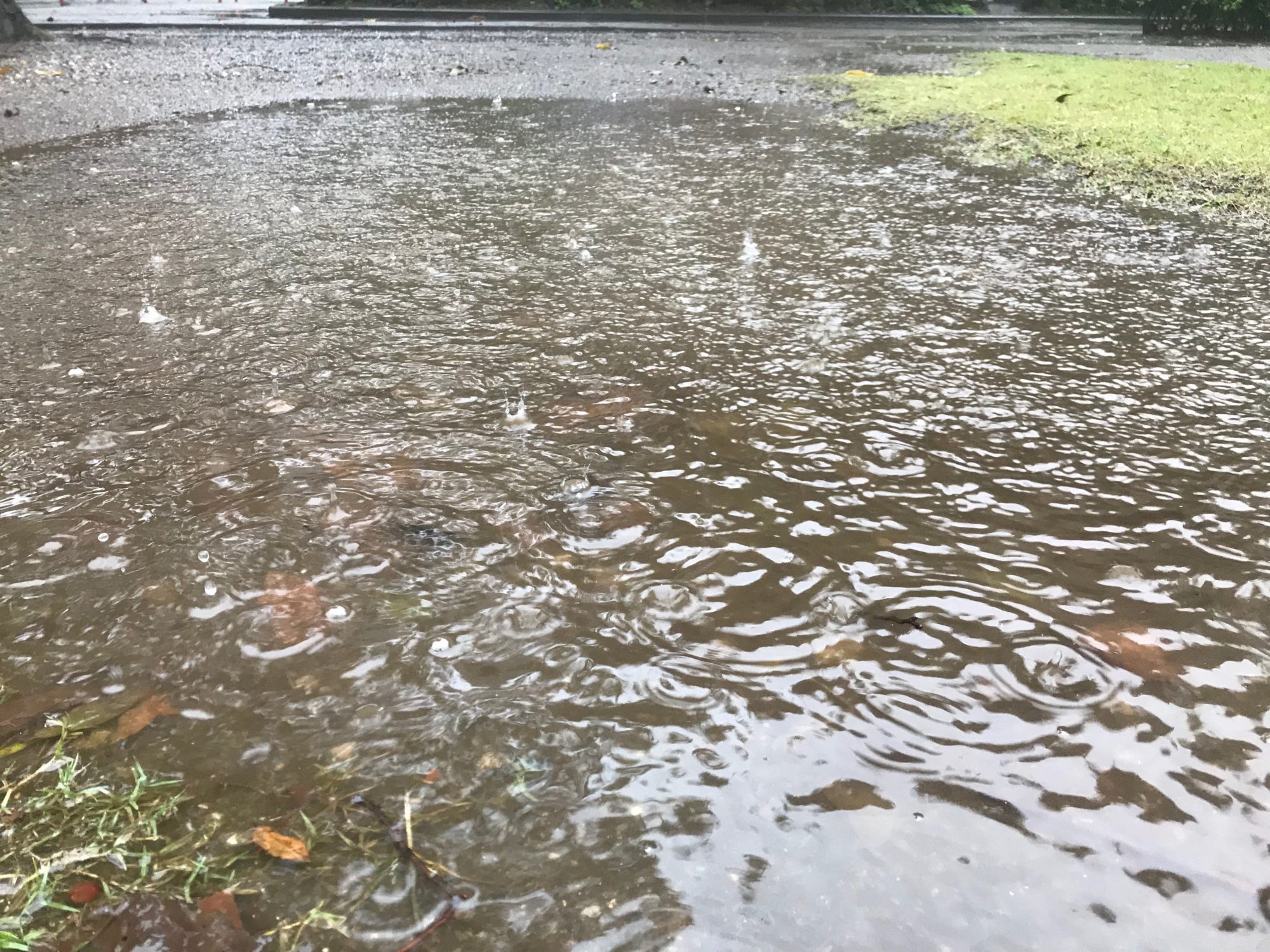 水溜りに雨が落ちている