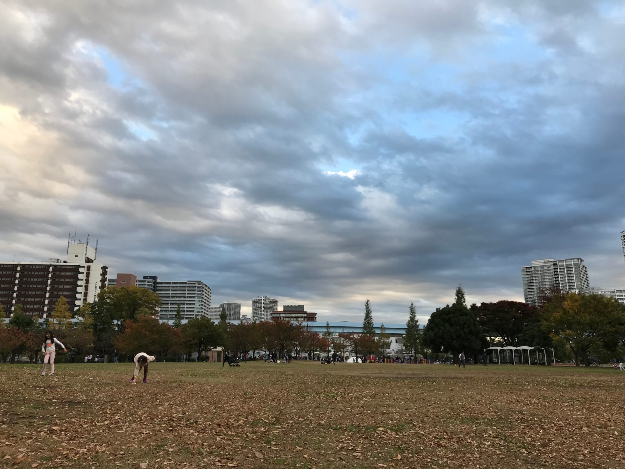 豊洲の公園