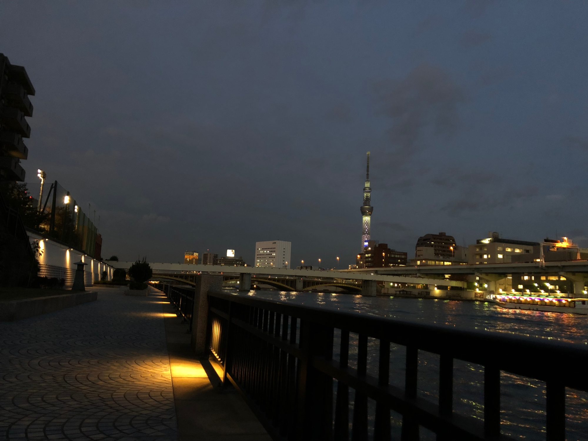 夜の隅田川テラスからスカイツリー