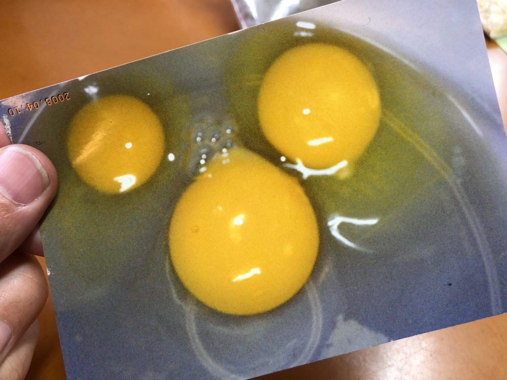 卵の黄身の写真